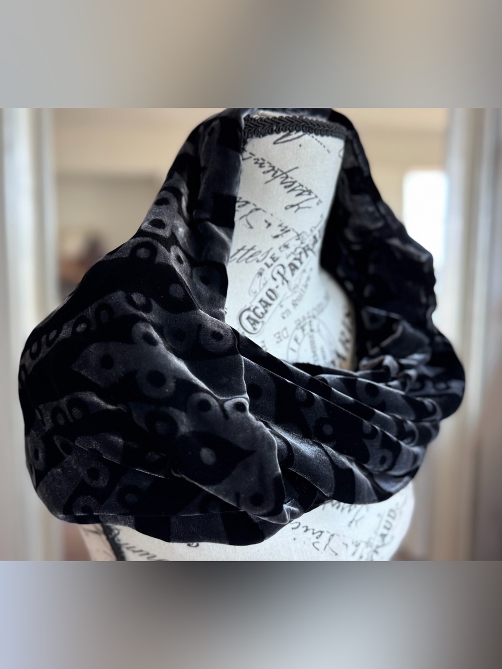 The Fine Arts Museums San Francisco Silk Rayon Velvet Burnout Scarf Black